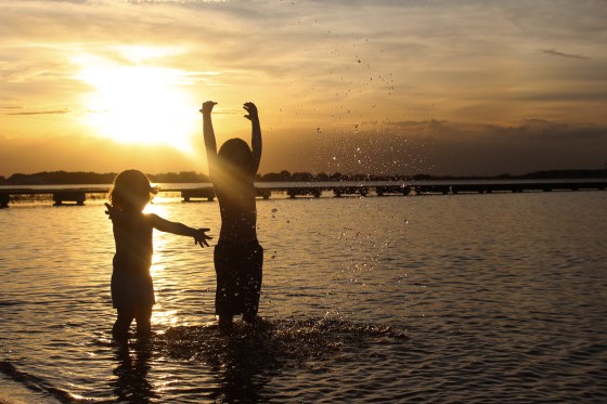 blogheadersilhouette